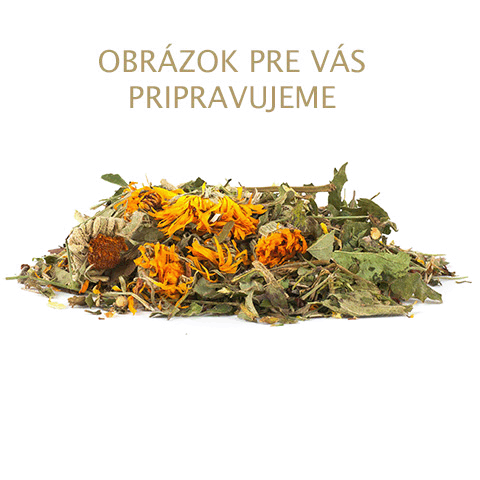 Slzovka obyčajná